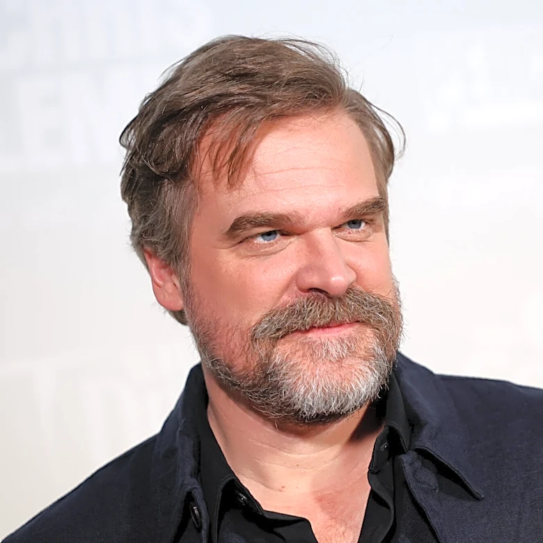 David Harbour Wins Emmy for Supporting Actor in Limited Series for ‘DTF: St. Louis’