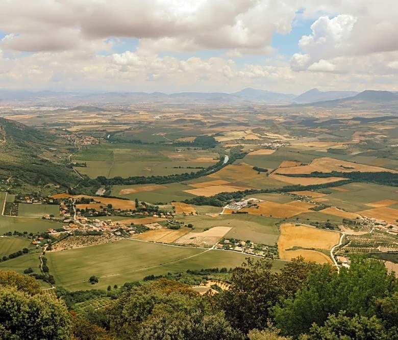 Inside the Basque Production Boom: Who Owns the Growth?