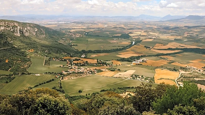 Inside the Basque Production Boom: Who Owns the Growth?