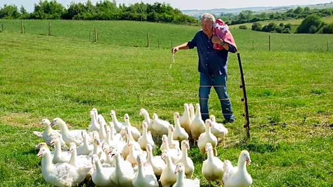 Jeremy Clarkson Is Already Thinking About What Comes After ‘Clarkson’s Farm’: ‘It Has To Be Unbelievably Ambitious’