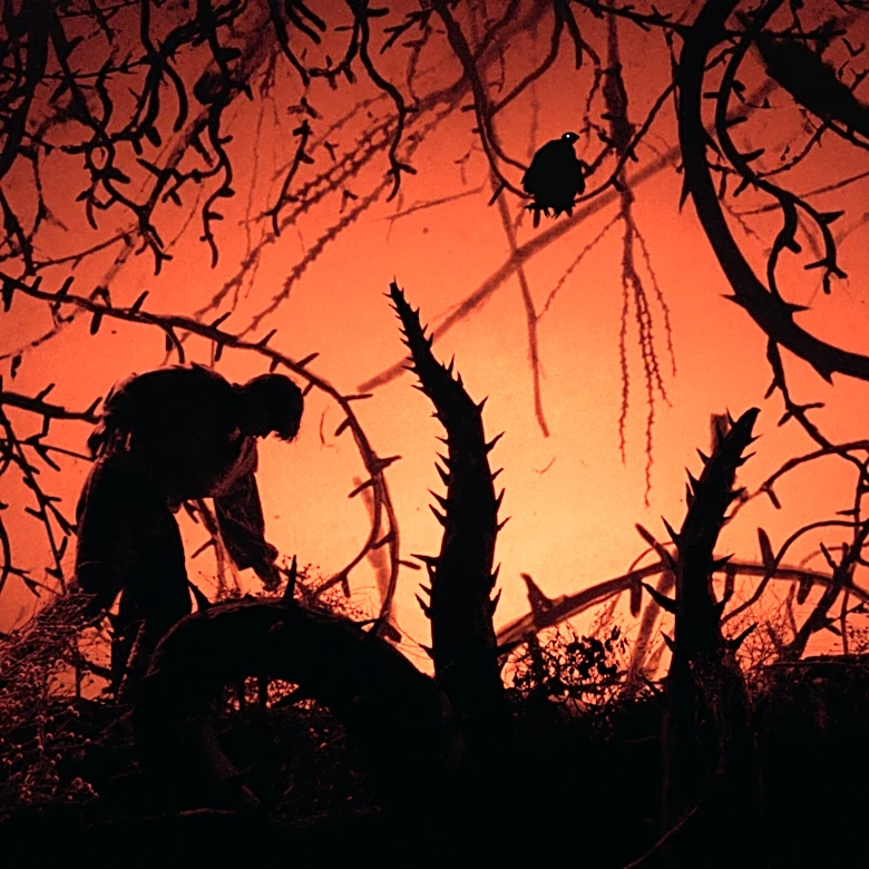 KimStim Acquires North American Rights to León & Cociña’s ‘Donkey Princess’ (EXCLUSIVE)