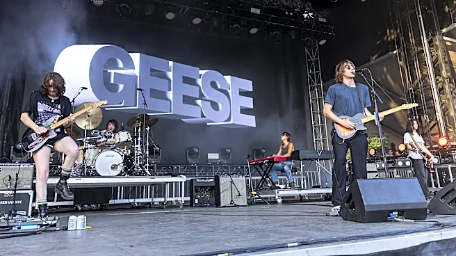 Will Geese Rock the Grammy Nominations? Here’s Why They Should …