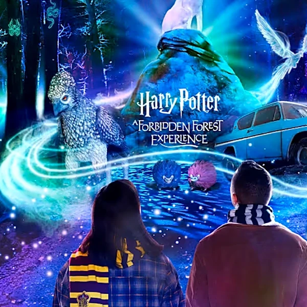 ‘Harry Potter: A Forbidden Forest Experience’ Returns to New York Just in Time for Halloween — Here’s How to Get Tickets