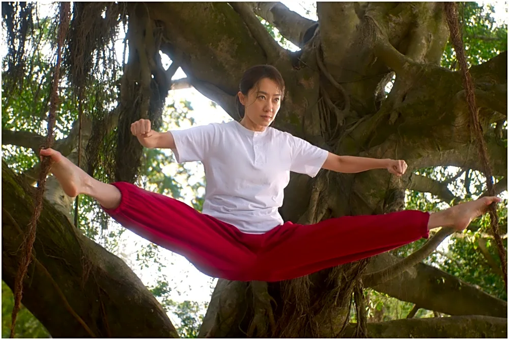 Stephen Chow’s ‘Kung Fu Soccer’ Sets U.S., U.K. Release With Jimmy O. Yang, MC Jin Voicing English Dub