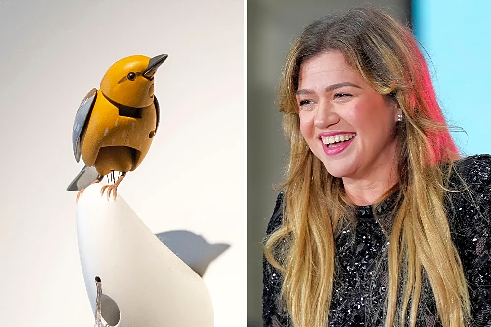 Yes, a Kelly Clarkson and Molly the Bird Halloween Costume Is Shoppable on Amazon