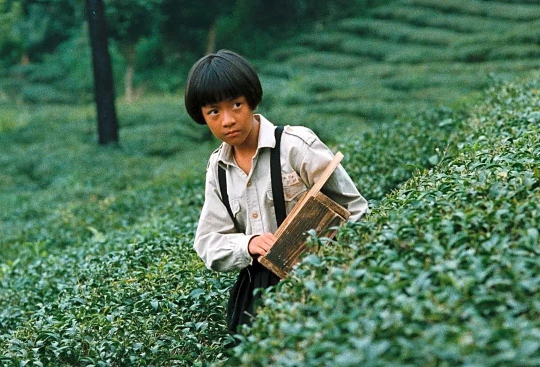 Yang Li-kuo’s ‘The Dull-Ice Flower’ Set for U.S.-U.K. Release as London-Based Distributor Radiance Films Picks Up Eight Taiwanese Classics