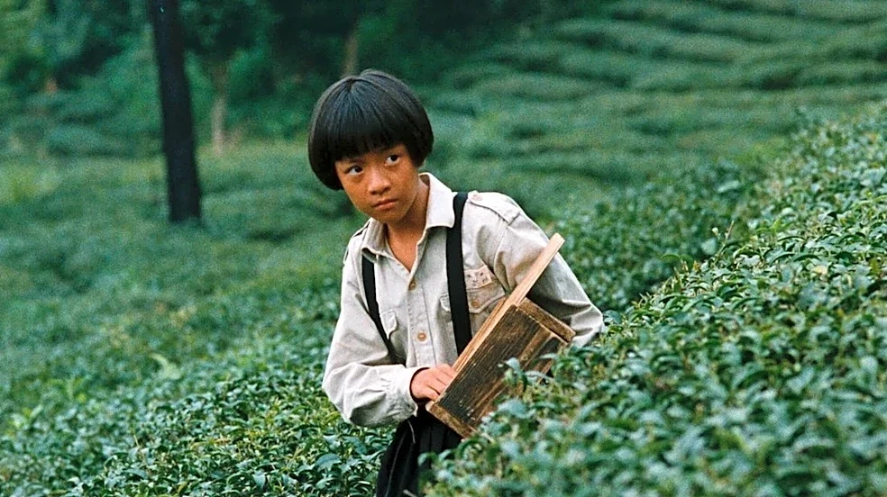 Yang Li-kuo’s ‘The Dull-Ice Flower’ Set for U.S.-U.K. Release as London-Based Distributor Radiance Films Picks Up Eight Taiwanese Classics