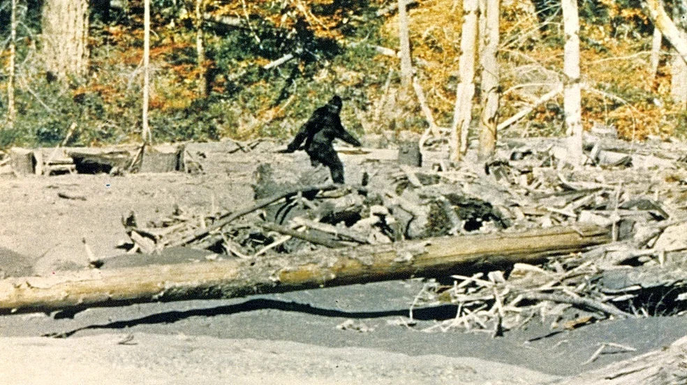 ‘Capturing Bigfoot’ Review: An Astounding Documentary Uncovers the Truth