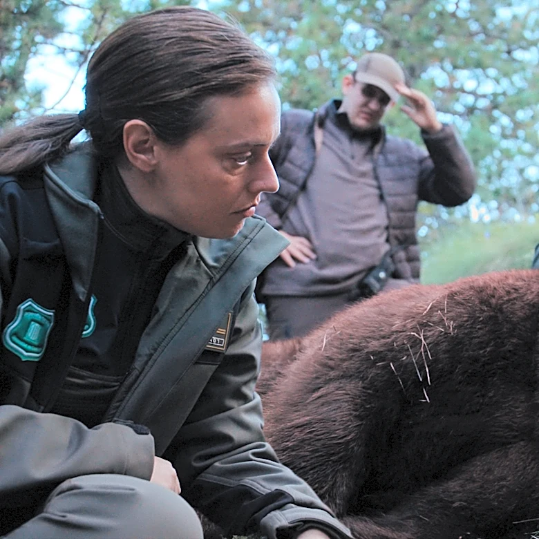 ‘Killing a Bear,’ From Movistar Plus and Arte France: a Real-Event Inspired Murder-Mystery Whose Victim Is a Pyrenean Brown Bear