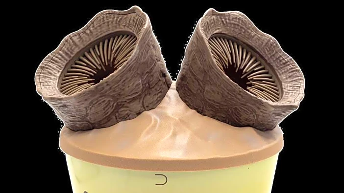 ‘Dune 3’ Popcorn Bucket Has Two Sandworms That ‘Make It Easier to Share’