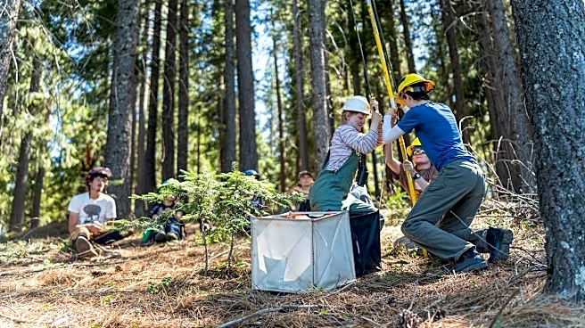 State can’t replant its forests fast enough to keep up with wildfires