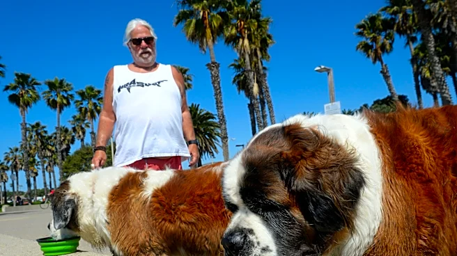 Heat wave could bring triple-digit temperatures this weekend