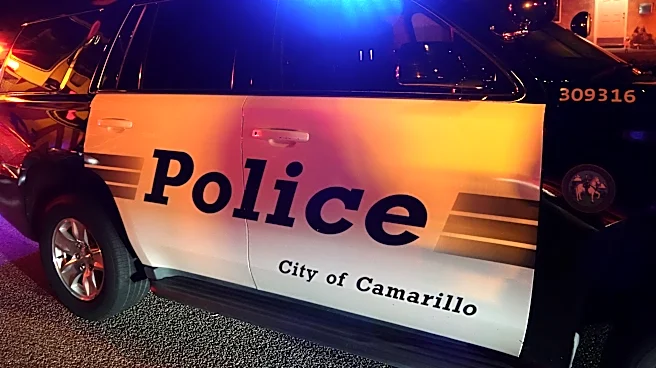 Camarillo pursuit ends in multi-vehicle crash, arrest