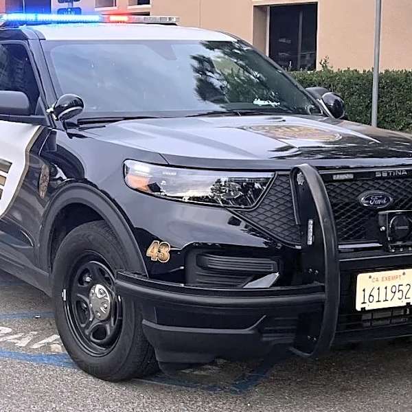 LA man, teen arrested following police chase through Simi Valley
