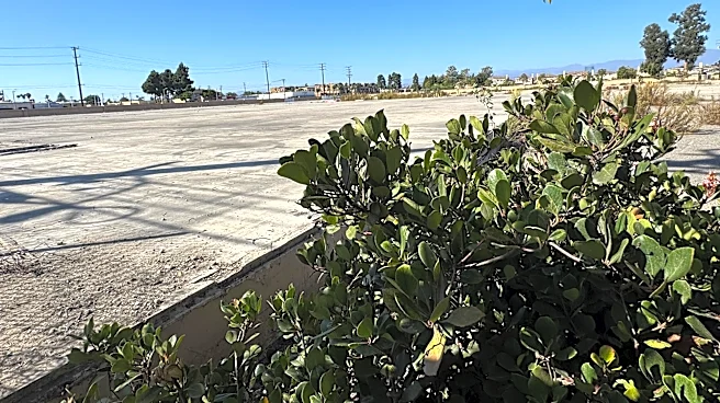 Environmental review begins for Oxnard project at ex-Sunkist property
