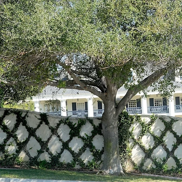 Controversial Camarillo wedding venue on market for $8.25M. Here's why