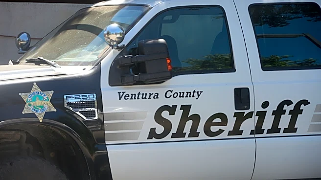 Ex-Camarillo softball association president arrested for grand theft