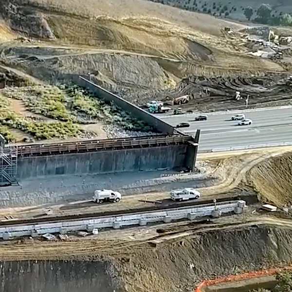 Highway 101 lanes to close in Agoura Hills for wildlife crossing work
