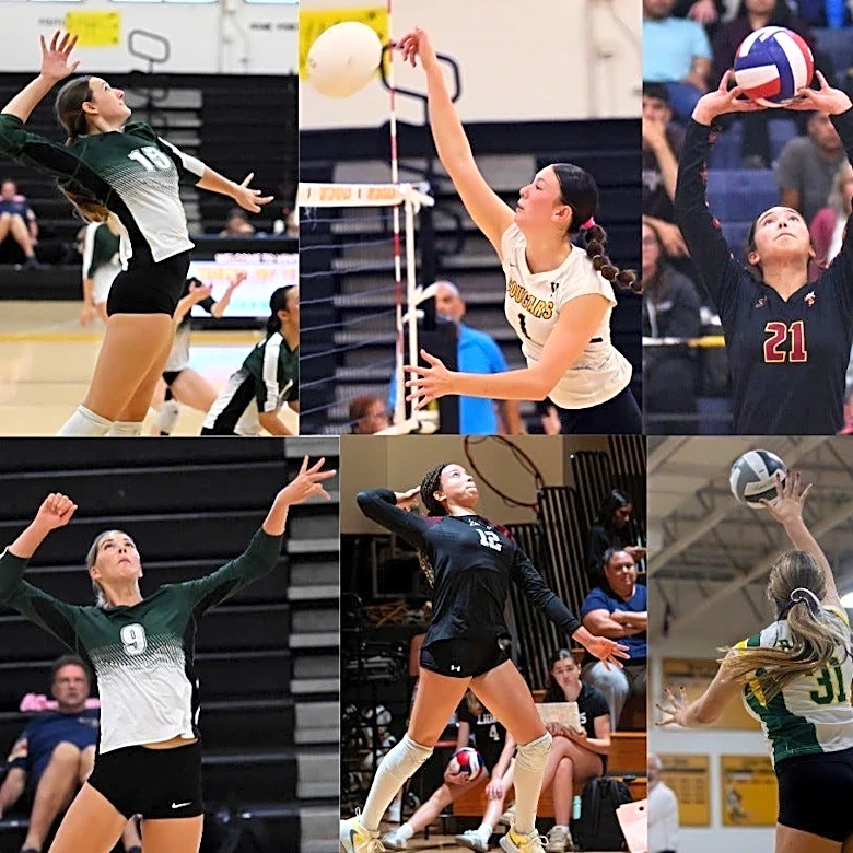 VOTE for the top local high school girls volleyball player