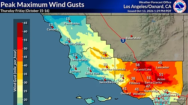 Santa Ana winds prompt wildfire warnings, potential power outages
