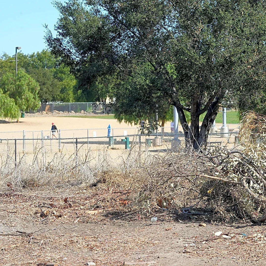 Proposed pickleball courts near T.O. equestrian park raise worries