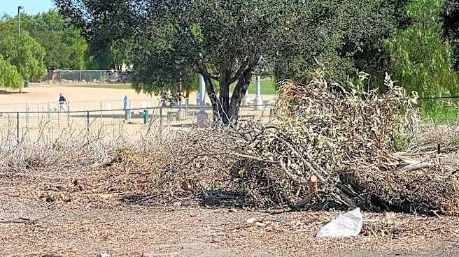 Proposed pickleball courts near T.O. equestrian park raise worries