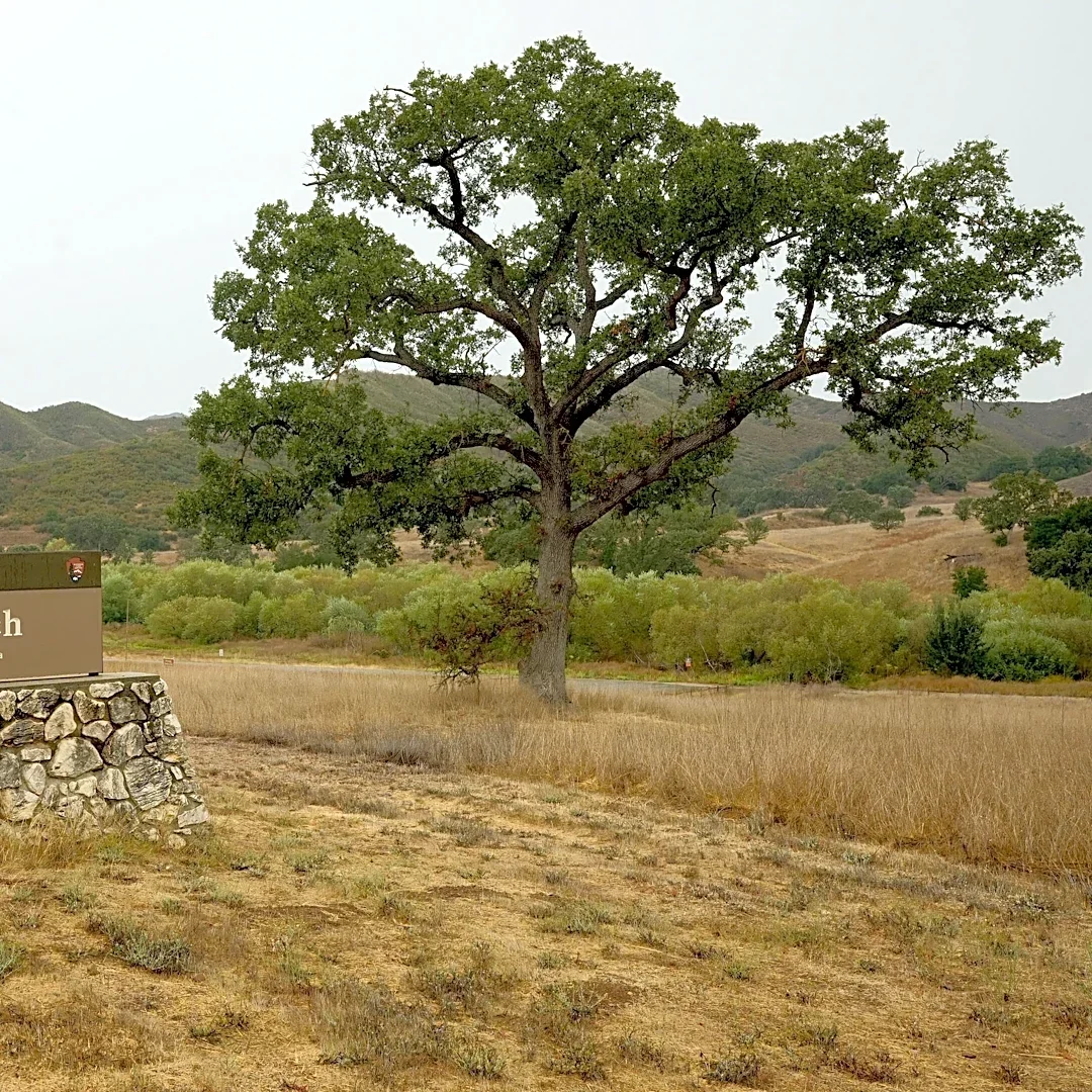 Local parks, trails to close amid red flag conditions, Santa Ana winds