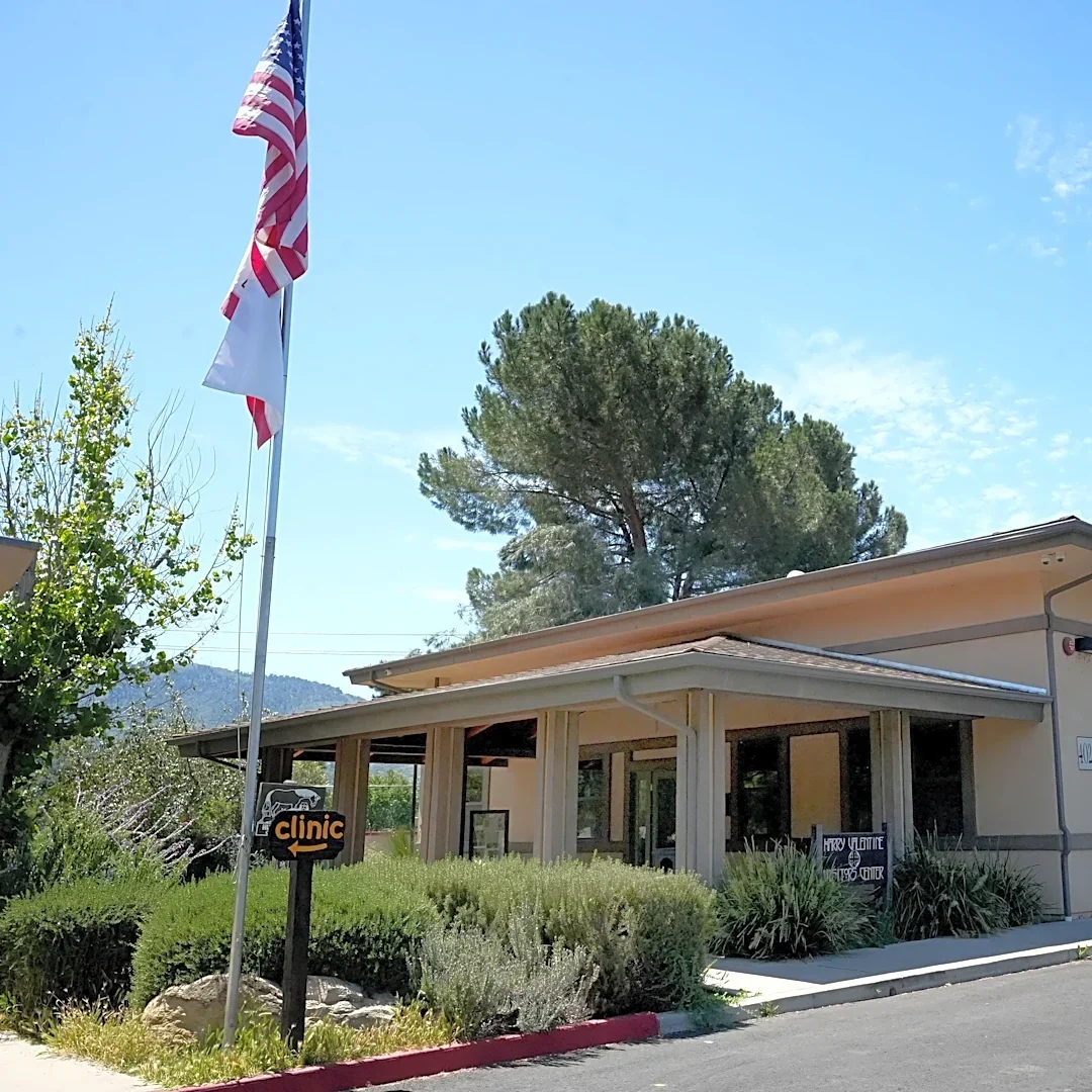 Ex-exec of Ventura County Humane Society sues for wrongful termination