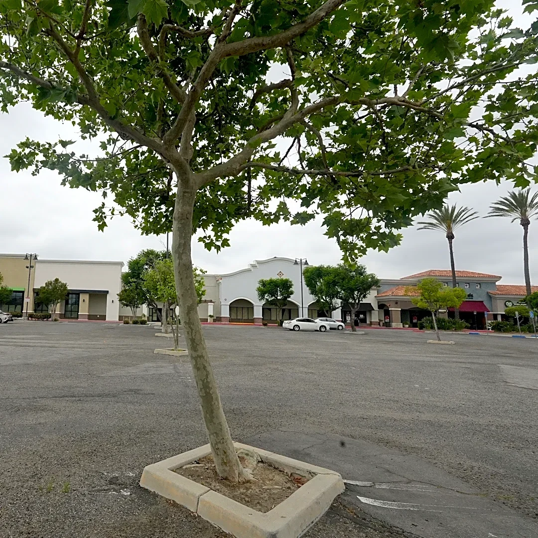 Whole Foods announces opening day of Simi Valley store