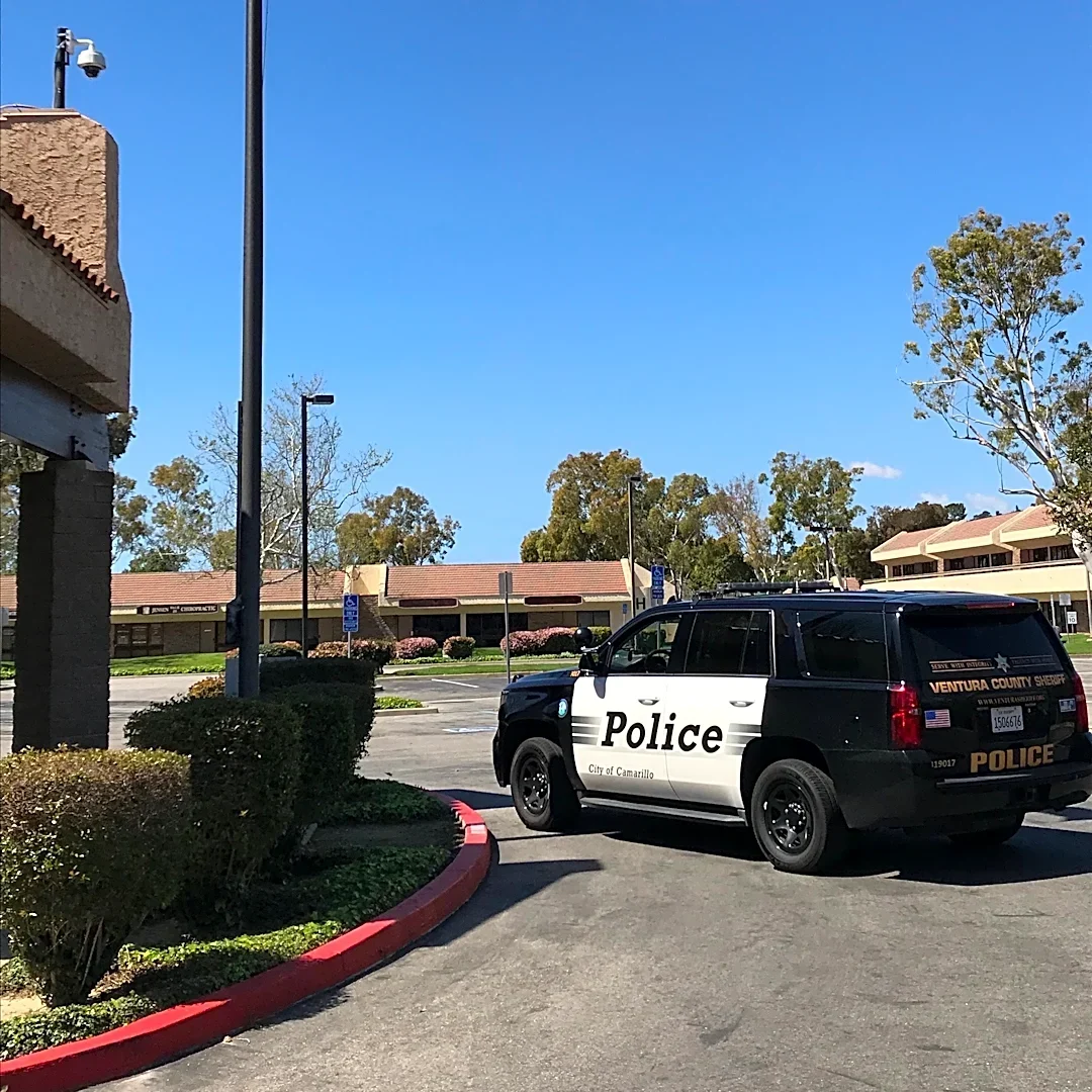 Dogs seriously injure woman in Camarillo attack