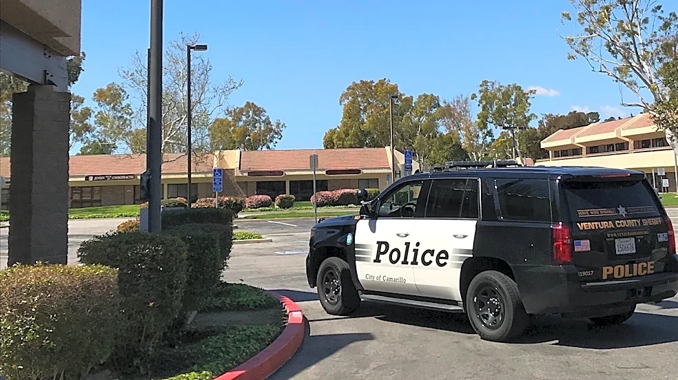 Dogs seriously injure woman in Camarillo attack