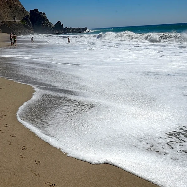 Authorities ID woman who drowned at Sycamore Cove Beach