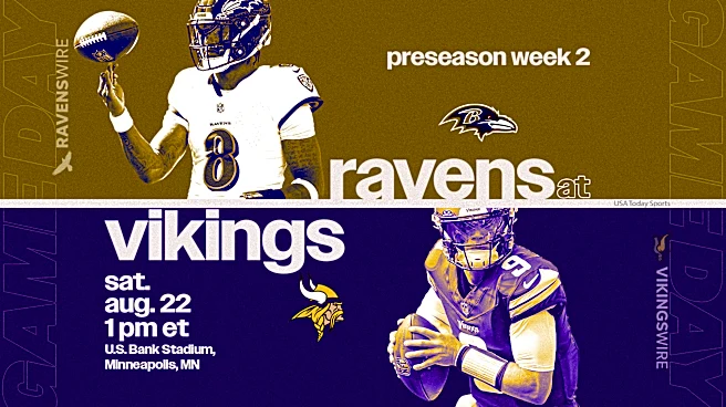 Vikings Preseason Game Preview: Matchup against the Ravens