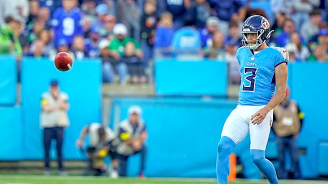 Vikings sign veteran punter after injury to Brett Thorson