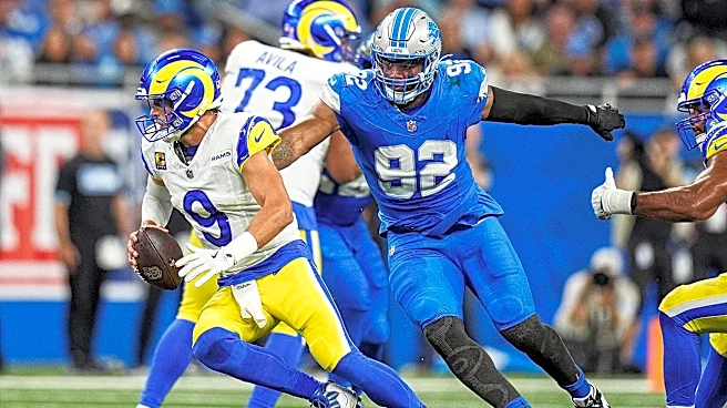 Former Vikings defensive end retires from the NFL after 8 seasons