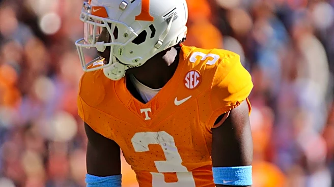 Dolphins hold tryout for five defensive backs, including former Vol