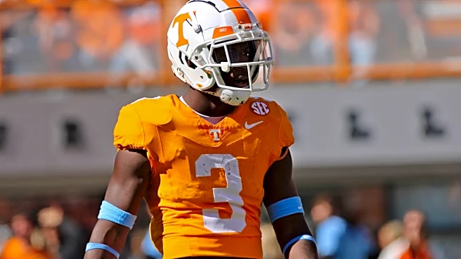 Steelers hold tryout for three former SEC defensive backs