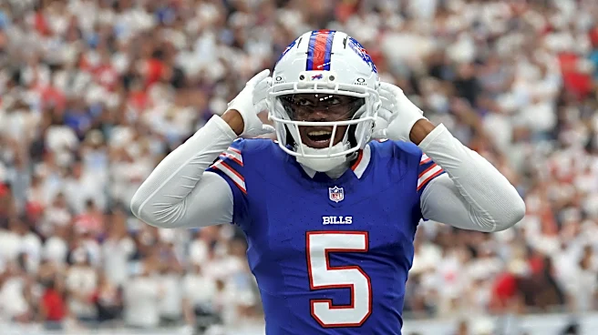 Joshua Palmer scores game-winning touchdown for Bills at Houston