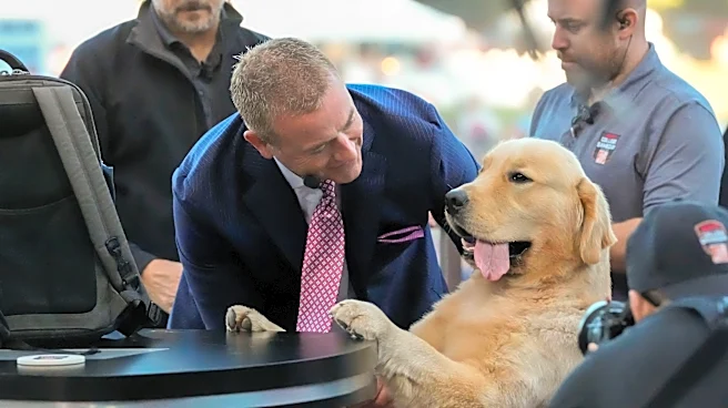 Tennessee-Texas football game: TV announcers named