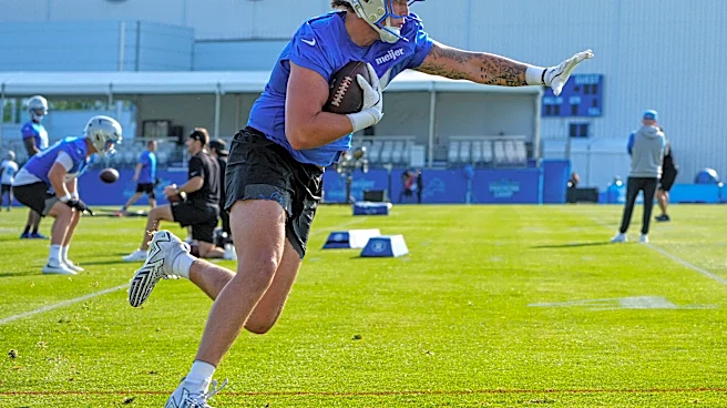 Lions sign Miles Kitselman in NFL Week 4