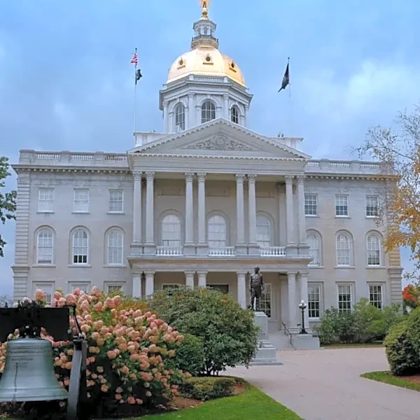 Does New Hampshire Require a Majority to Win a Federal Office?