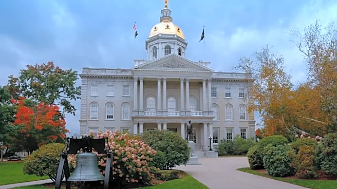 Does New Hampshire Require a Majority to Win a Federal Office?