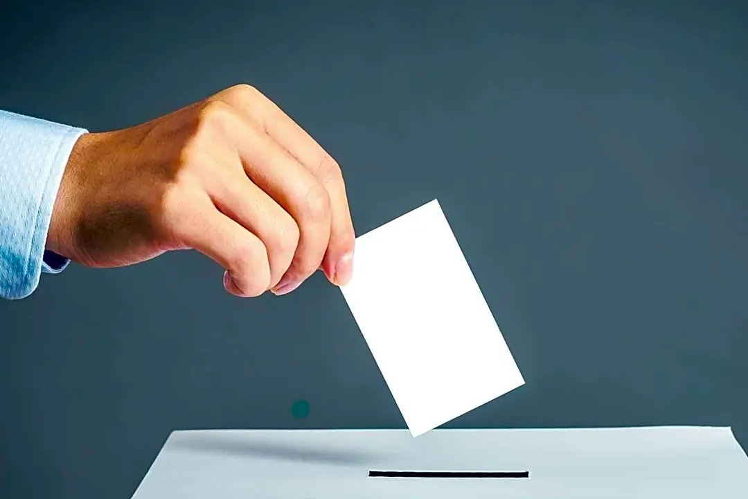 Whether Texas Permits Observers During the Count