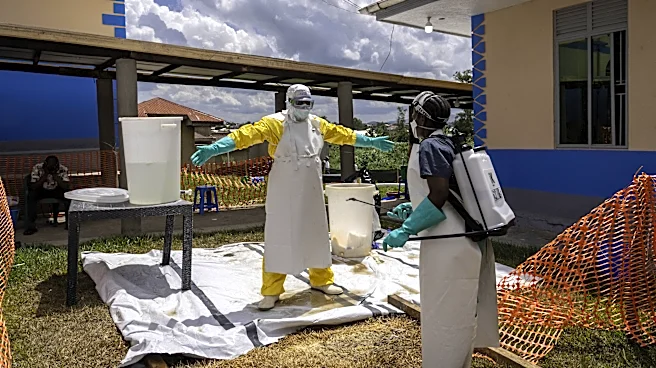 We don’t know how the Ebola outbreak started. That’s a problem.