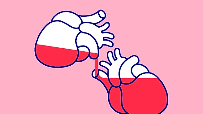 The organ donation boom complicating the boundary between life and death