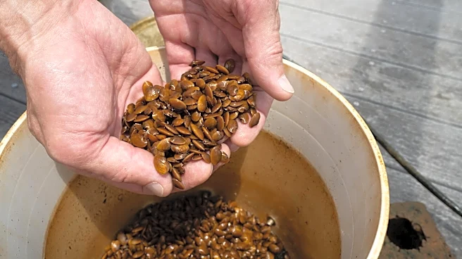 This US state has become an unexpected epicenter of the global extinction crisis