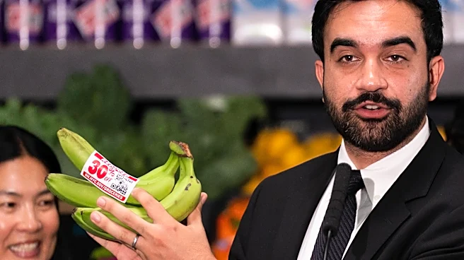 The hidden cost of Mamdani’s plan for cheap groceries