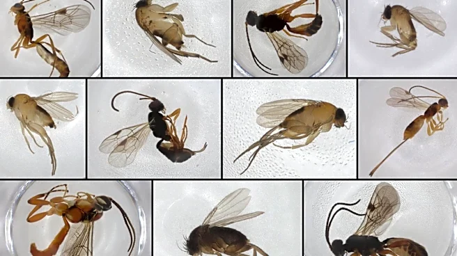 We think we just discovered some new species living in New York City