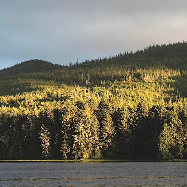 Trump’s latest assault on public lands