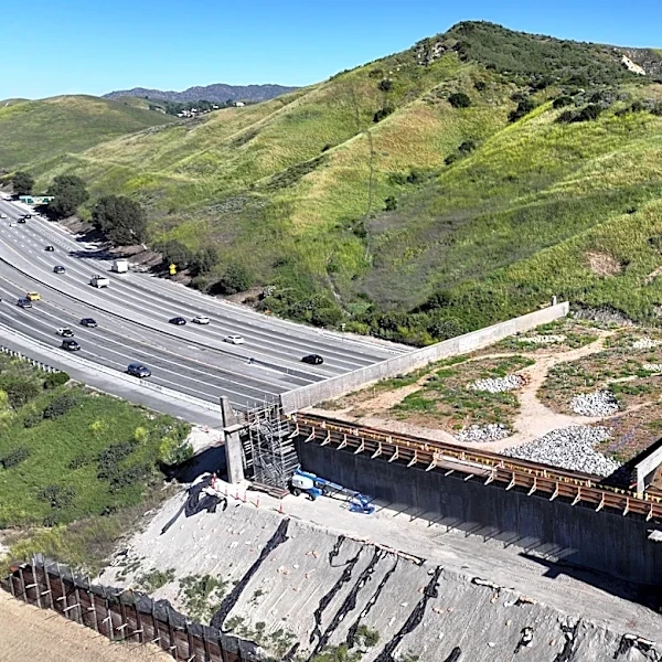 An elegant fix for one of America’s deadliest road problems